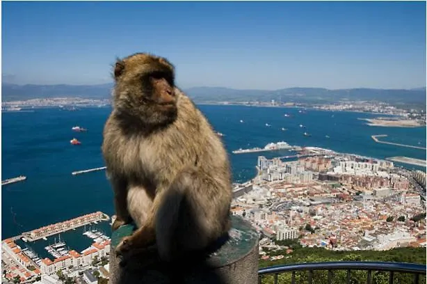 Paseo Maritimo De Cadiz Lägenhet 0*,  Spanien